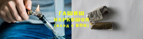 ешки Алексин