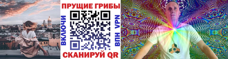 Галлюциногенные грибы Cubensis  MEGA как зайти  Новокубанск 