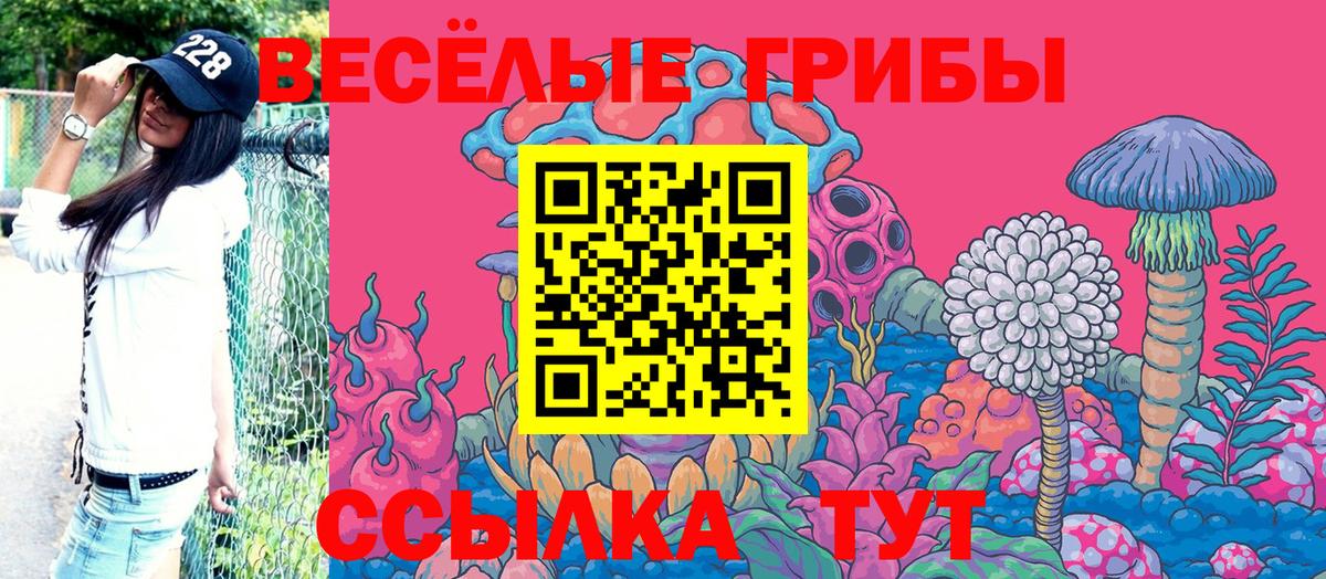Галлюциногенные грибы MAGIC MUSHROOMS Новокубанск
