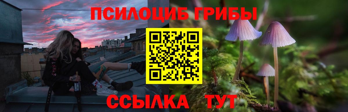 Новокубанск  Галлюциногенные грибы MAGIC MUSHROOMS  Вход с VPN  Галлюциногенные грибы ЛСД 